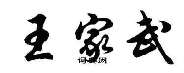 胡問遂王家武行書個性簽名怎么寫