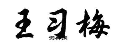 胡問遂王習梅行書個性簽名怎么寫