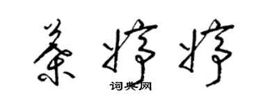 梁錦英葉婷婷草書個性簽名怎么寫