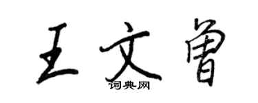 王正良王文曾行書個性簽名怎么寫