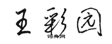 駱恆光王彩園行書個性簽名怎么寫