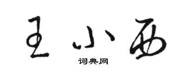 駱恆光王小西草書個性簽名怎么寫