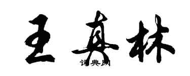 胡問遂王真林行書個性簽名怎么寫