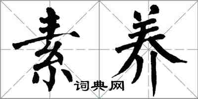 翁闓運素養楷書怎么寫