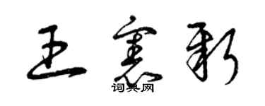 曾慶福王憲新草書個性簽名怎么寫