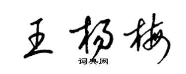 梁錦英王楊梅草書個性簽名怎么寫