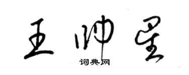 梁錦英王帥星草書個性簽名怎么寫