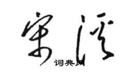 駱恆光宋溪草書個性簽名怎么寫