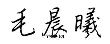 王正良毛晨曦行書個性簽名怎么寫