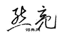 駱恆光熊亮草書個性簽名怎么寫