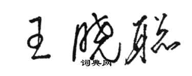 駱恆光王曉聰草書個性簽名怎么寫