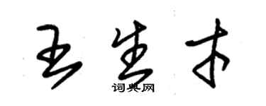 朱錫榮王生才草書個性簽名怎么寫