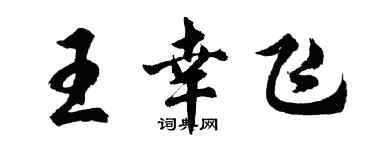 胡問遂王幸飛行書個性簽名怎么寫