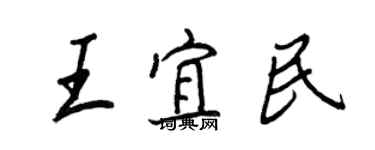 王正良王宜民行書個性簽名怎么寫