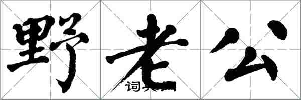 翁闓運野老公楷書怎么寫