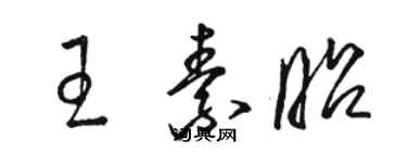 駱恆光王素昭草書個性簽名怎么寫