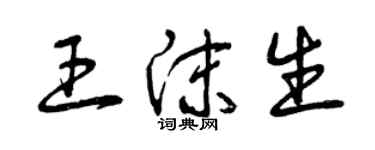 曾慶福王沫生草書個性簽名怎么寫