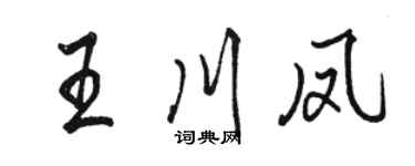 駱恆光王川鳳行書個性簽名怎么寫