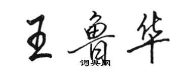 駱恆光王魯華行書個性簽名怎么寫