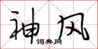 段相林神風行書怎么寫