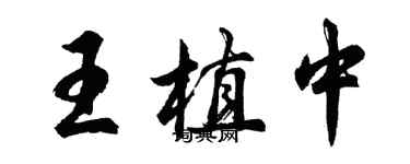 胡問遂王植中行書個性簽名怎么寫