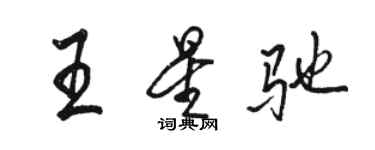 駱恆光王星馳行書個性簽名怎么寫