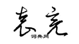 曾慶福袁亮草書個性簽名怎么寫