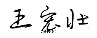 曾慶福王宏壯草書個性簽名怎么寫