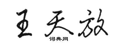 駱恆光王天放行書個性簽名怎么寫