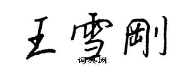 王正良王雪剛行書個性簽名怎么寫