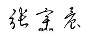 梁錦英張宇晨草書個性簽名怎么寫