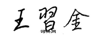 王正良王習金行書個性簽名怎么寫