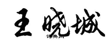 胡問遂王曉城行書個性簽名怎么寫