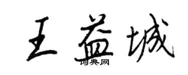 王正良王益城行書個性簽名怎么寫
