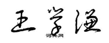 曾慶福王學謙草書個性簽名怎么寫