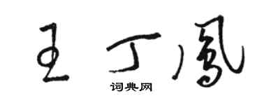 駱恆光王丁鳳草書個性簽名怎么寫