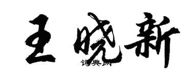 胡問遂王曉新行書個性簽名怎么寫