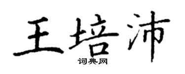 丁謙王培沛楷書個性簽名怎么寫