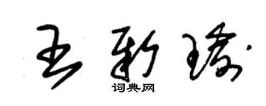 朱錫榮王新瑜草書個性簽名怎么寫