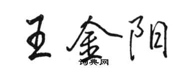 駱恆光王金陽行書個性簽名怎么寫