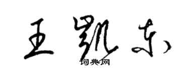 梁錦英王凱東草書個性簽名怎么寫