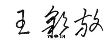 駱恆光王彩放草書個性簽名怎么寫