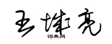 朱錫榮王城亮草書個性簽名怎么寫