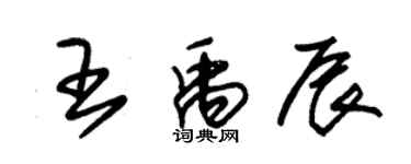 朱錫榮王禹辰草書個性簽名怎么寫