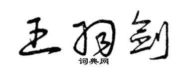 曾慶福王羽劍草書個性簽名怎么寫