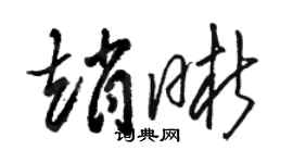 駱恆光趙晰草書個性簽名怎么寫