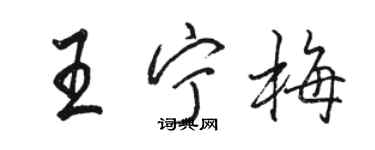 駱恆光王寧梅行書個性簽名怎么寫