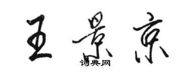 駱恆光王景京行書個性簽名怎么寫