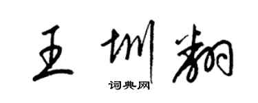 梁錦英王圳翻草書個性簽名怎么寫