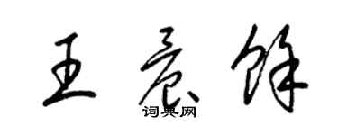 梁錦英王晨余草書個性簽名怎么寫